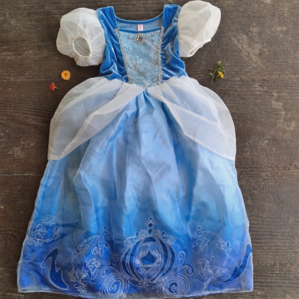 Blue Cinderella Princess Gown